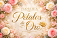 Florería Pétalos de Oro - Home